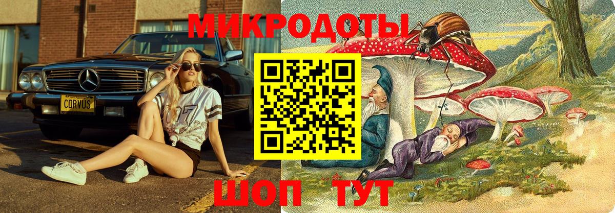Псилоцибиновые грибы Psilocybe  Вход с VPN  Нальчик 