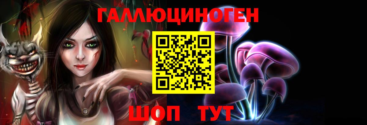 Псилоцибиновые грибы Psilocybe Нальчик